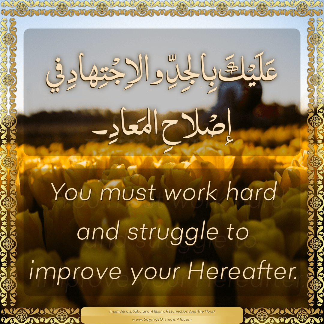 You must work hard and struggle to improve your Hereafter.